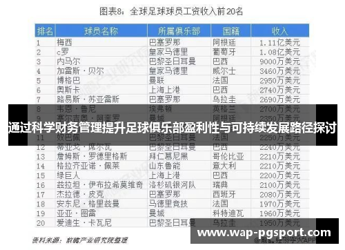通过科学财务管理提升足球俱乐部盈利性与可持续发展路径探讨
