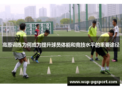 高原训练为何成为提升球员体能和竞技水平的重要途径
