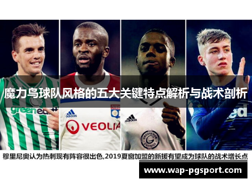 魔力鸟球队风格的五大关键特点解析与战术剖析